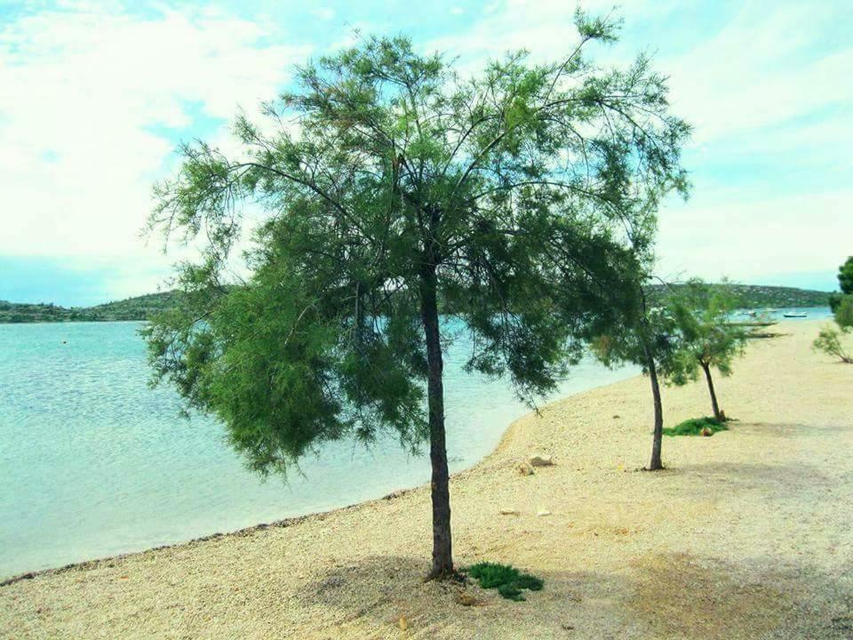Apartments The Heart Of Croatia Pirovac Esterno foto